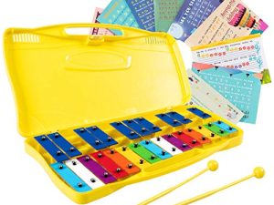 Costzon Xylophone 25 notes avec étui
