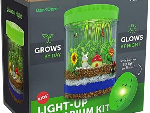 Kit de terrarium lumineux pour enfants -
