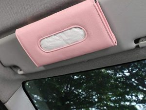 SEMBEM Distributeur de masques pour voiture