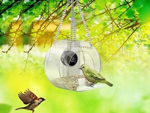 Mangeoire à oiseaux avec caméra
