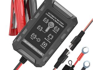 Andeman Chargeur de batterie intelligent pour automobile