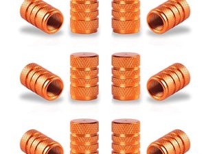 SINGARO Lot de 12 capuchons de valve