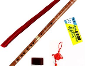 Instrument de musique chinois traditionnel fait à