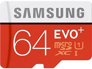 Samsung 64 Go Evo Plus Class 10