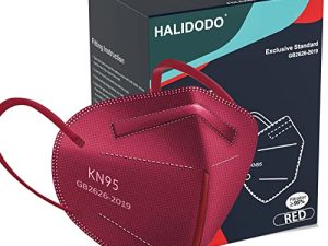 Masque facial HALIDODO KN95