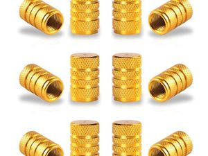 SINGARO Lot de 12 capuchons de valve