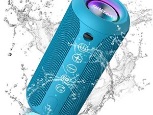 Haut-parleur Bluetooth portable Ortizan
