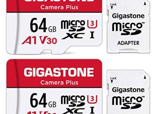 [Gigastone] Lot de 2 cartes micro SD