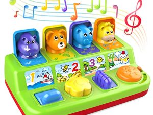 Duchong Interactive Pop Up Animals Toy pour
