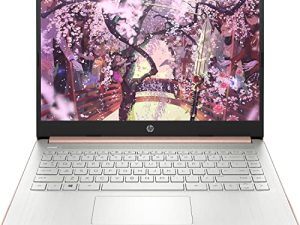 Ordinateur portable fin et léger HP Premium