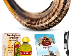 Instrument de corne Shofar - Instrument de