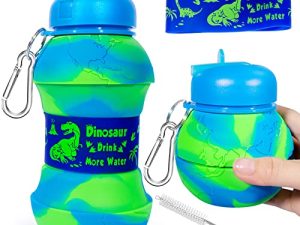 Bouteille d'eau de dinosaure pour enfants tout-petits