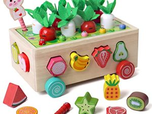 SHIERDU Montessori Multifonctionnel Verger Jouet Voiture pour