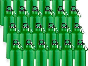 Gandeer 24 Pièces Bouteille d'eau en Aluminium