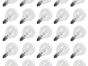 Lot de 25 ampoules de rechange G40