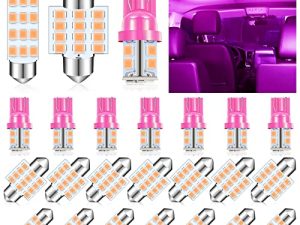 Lot de 24 ampoules LED pour dôme