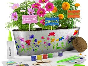 Dan&Darci Kit de peinture et de fleurs