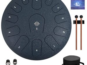 Yasisid Steel Tongue Drum 12 pouces Instruments