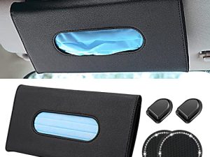 Porte-mouchoirs pour visière
