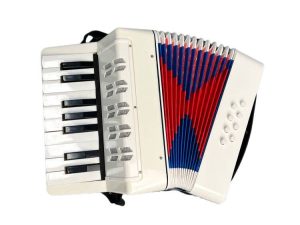 BORIYAM Instrument d'accordéon pour enfants 17 touches