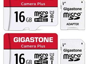 [Gigastone] Lot de 2 cartes micro SD