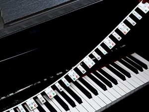 Autocollants de clavier pour piano 88 touches