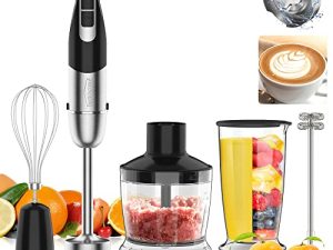 Mixeur plongeant portable