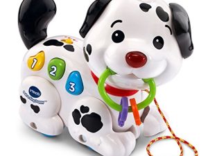 Chiot Pull and Sing de VTech