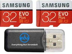 32 Go Samsung Evo Plus Micro (lot