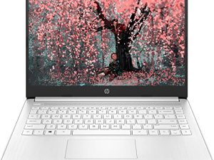 Ordinateur portable fin et léger HP Premium