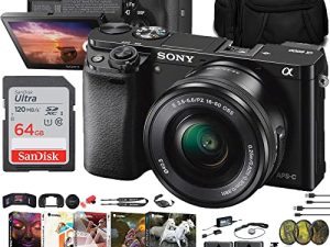 Appareil photo sans miroir Sony Alpha a6000