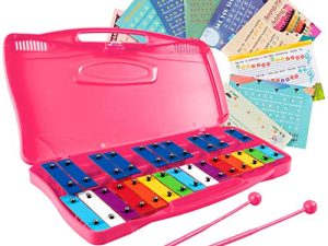 Costzon Xylophone 25 notes avec étui