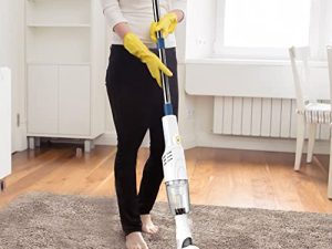 Aspirateur sans fil Whirlwind - Système de