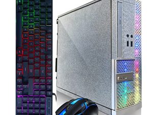 Ordinateur de bureau Dell PC Treasure Box