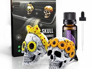 Accessoires De Voiture De Crâne De Sucre