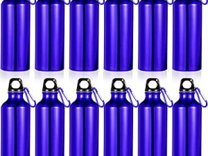 Gandeer Lot de 12 bouteilles d'eau en