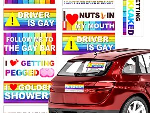 TIESOME Lot de 10 autocollants de voiture