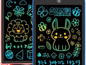 MINIFUN Lot de 2 tablettes d'écriture LCD