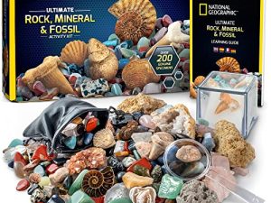 NATIONAL GEOGRAPHIC Rocks & Fossils Kit -